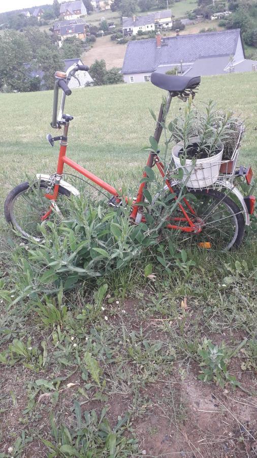 Sommerfrische Hinterhermsdorf Dış mekan fotoğraf