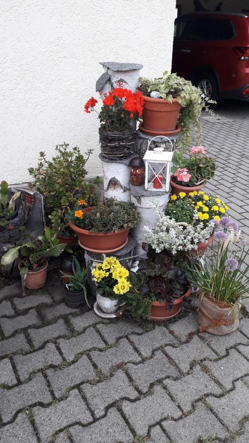 Sommerfrische Hinterhermsdorf Dış mekan fotoğraf